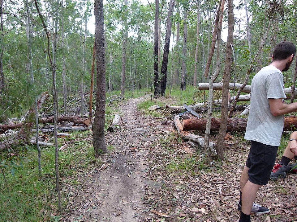 P1160443.jpg